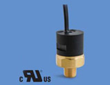 Snap Action Pressure Switch for OEM
